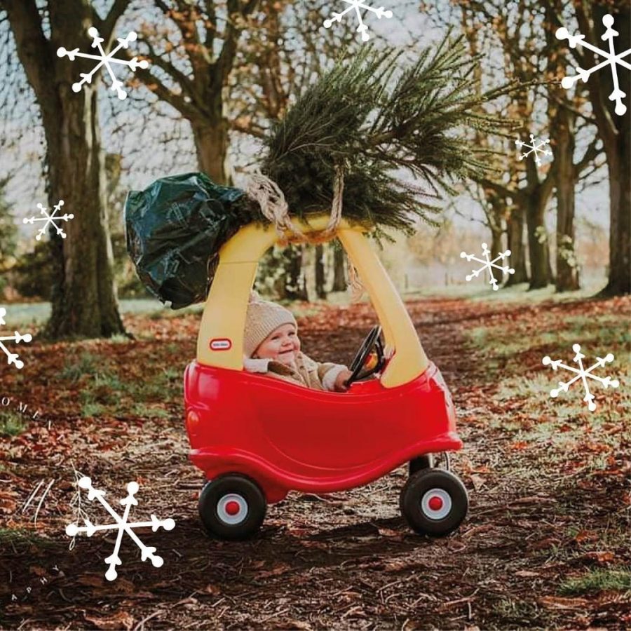 toddler riding a red and yellow cozy coupe car in a forest with a christmas tree tied to the roof